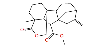 Gibberelline GA15 methyl ester